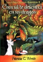 Cum sa te descurci cu un dragon