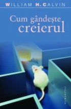 Cum gandeste creierul