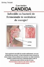 Cum tratam candida Infectiile ciupercile