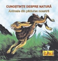 Cunostinte despre natura - Animale din padurea noastra