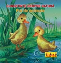 Cunostinte despre natura - Pui de animale