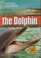 Cupid The Dolphin DVD
