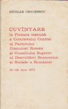 Cuvintare la Plenara Comitetului Central al Partidului Comunist Roman si Consiliului Suprem al dezvoltarii Eco