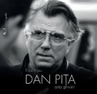 DAN PITA. Arta privirii (limba romana)