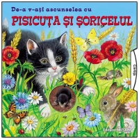 De-a v-ati ascunselea cu pisicuta si soricelul