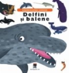 Delfini si balene