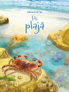 Descopar lumea: Pe plaja (Usborne)