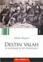 DESTIN VALAH IN ILUSTRATII SI 101 TEXTICULETE