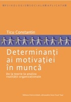 Determinanti ai motivatiei in munca - de la teorie la analiza realitatii organizationale