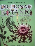 Dictionar botanic - Cele mai cunoscute plante din flora Romaniei