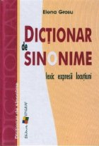 Dictionar sinonime lexic expresii locutiuni