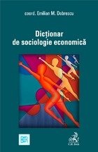 Dictionar sociologie economica