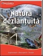 Discovery - Natura dezlantuita