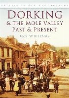 Dorking the Mole Valley Past