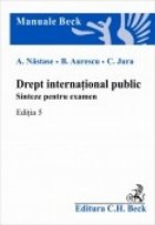 Drept international public Sinteze pentru