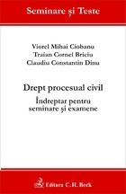 DREPT PROCESUAL CIVIL. INDREPTAR PENTRU SEMINARE SI EXAMENE