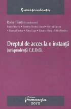 Dreptul acces instanta Jurisprudenta