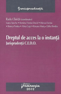 Dreptul de acces la o instanta. Jurisprudenta C.E.D.O.