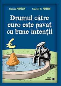 Drumul catre euro este pavat cu bune intentii