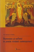 Dumnezeu sufletul poezia romana contemporana