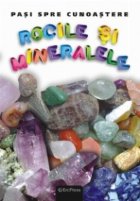 DVD Enciclopedia Junior nr. 20. Pasi spre cunoastere - Rocile si mineralele (carte + DVD)