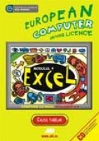 ECDL MODULUL EXCEL