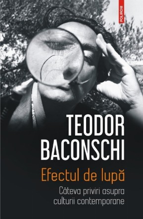 Efectul de lupă. Câteva priviri asupra culturii contemporane