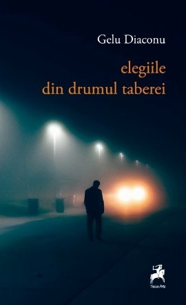 Elegii din Drumul Taberei : poezie