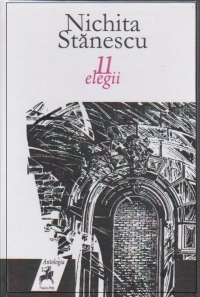 11 elegii