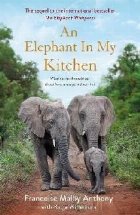 Elephant Kitchen