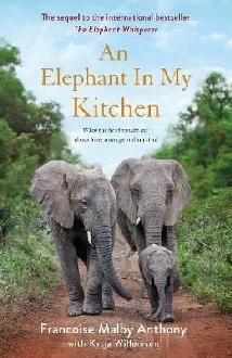 Elephant in My Kitchen