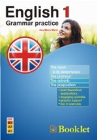 English Grammar practice 1 - The noun