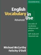 English Vocabulary Use (ADVANCED)