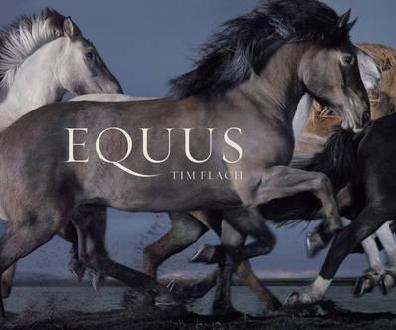 Equus