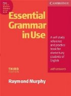 Essential Grammar Use With Answers