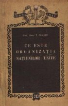 Ce este Organizatia Natiunilor Unite