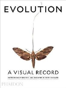 Evolution: A Visual Record