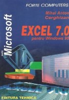 EXCEL 7.0 pentru Windows 95