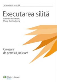 Executarea silita - culegere de practica judiciara