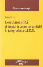 Executarea silita dreptul proces echitabil