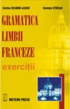 Exercitii gramatica limbii franceze