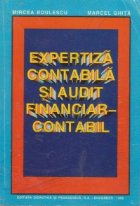 Expertiza contabila audit financiar contabil