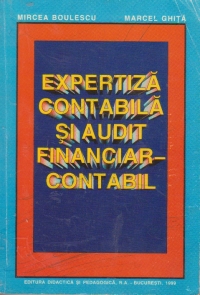 Expertiza contabila si audit financiar-contabil