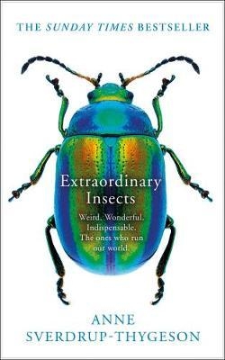 Extraordinary Insects