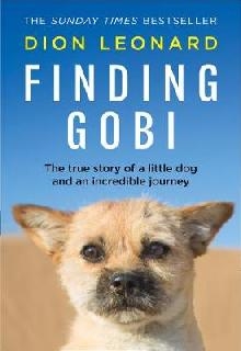 Finding Gobi (Main edition)