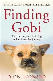 Finding Gobi (Main edition)