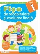 Fise recapitulare evaluare finala pentru