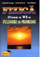 Fizica Clasa Culegere probleme