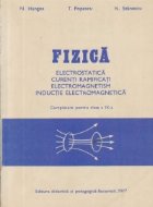 Fizica - Electrostatica. Curenti ramificati. Electromagnetism. Inductie electromagnetica - Completare pentru c