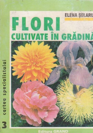 Flori cultivate in gradina